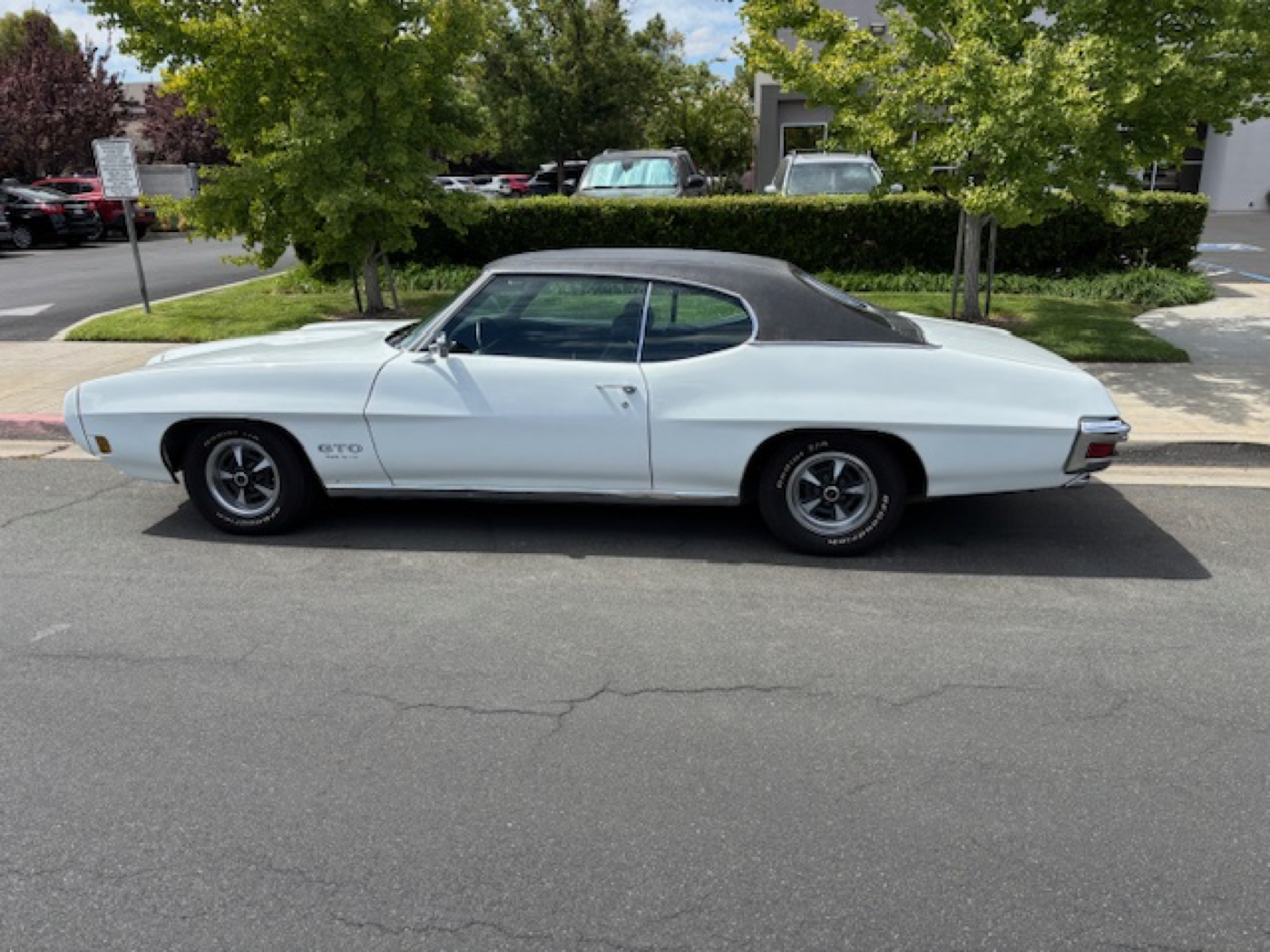 Sharp white GTO posed curbside in sunshine