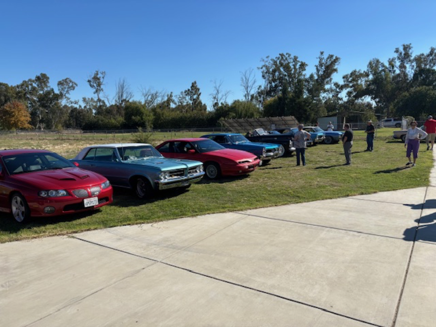 Colorful lineup of cars on a clear day